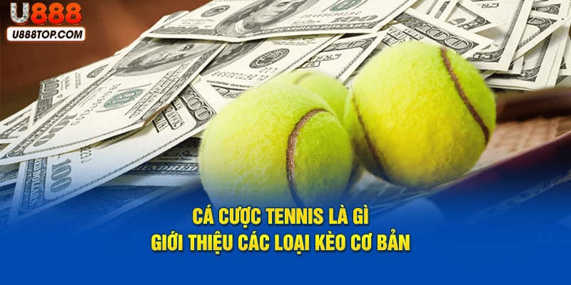 U888 cá cược tennis